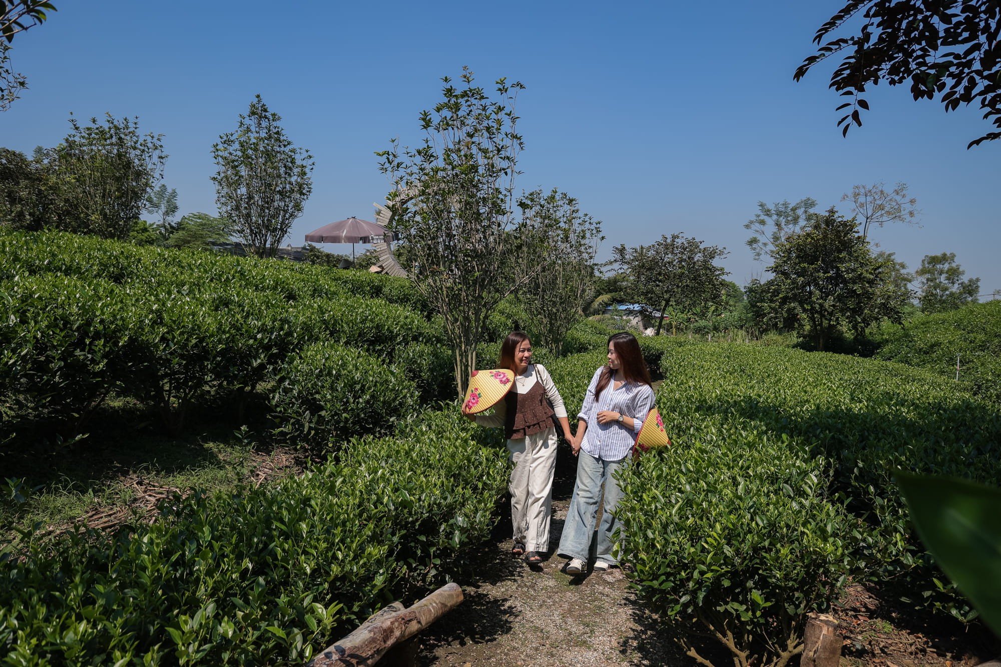 Tour tàu hỏa Hà Nội - Thái Nguyên - La Bằng 1 ngày 4